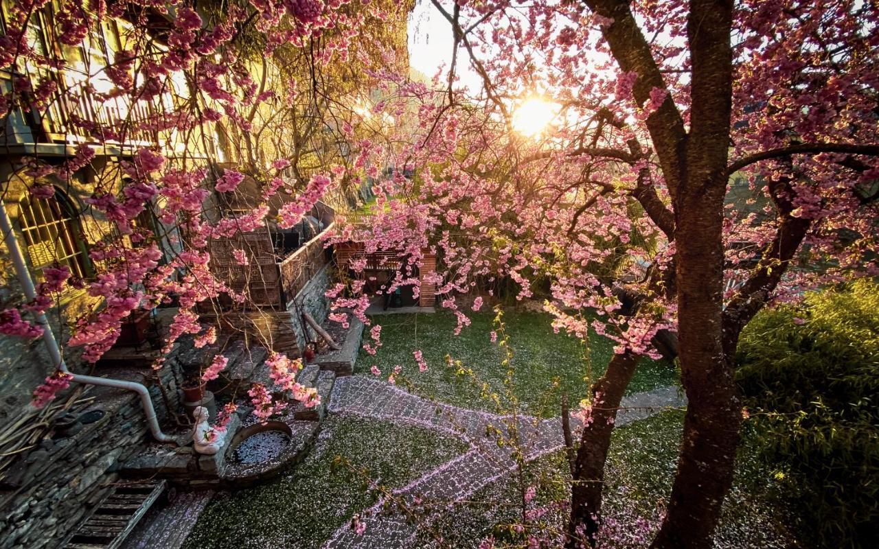 Gartenloft An Der Mur 무라우 외부 사진