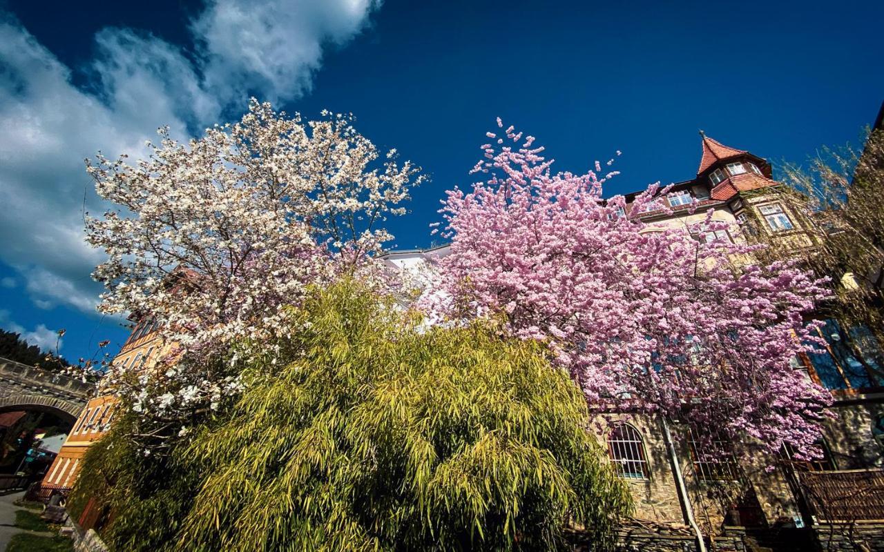 Gartenloft An Der Mur 무라우 외부 사진
